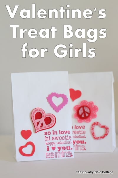 Valentine's day treat bags with different types of hearts