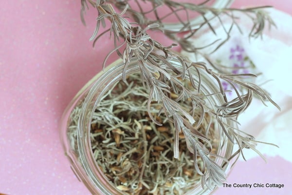 fresh lavender in a mason jar