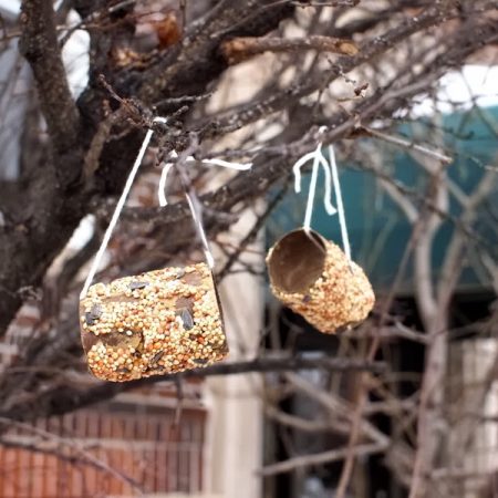 Two Bird Feeder Crafts: Toilet Paper Roll Feeders and Ice Feeders by Pink Stripey Socks