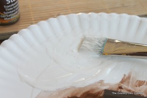 White paint mixture on plate