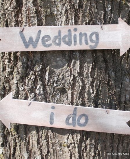 Two wedding signs on tree