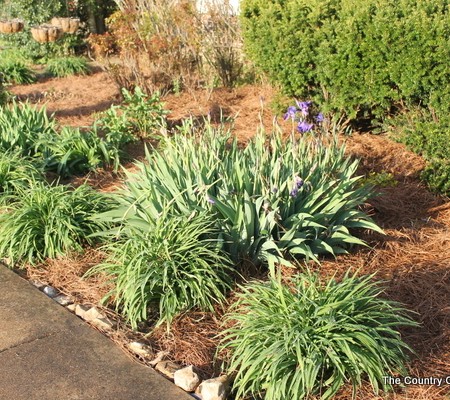 Gaining Curb Appeal -- gain curb appeal with a few simple tricks including a product that kills weeds and not flowers.