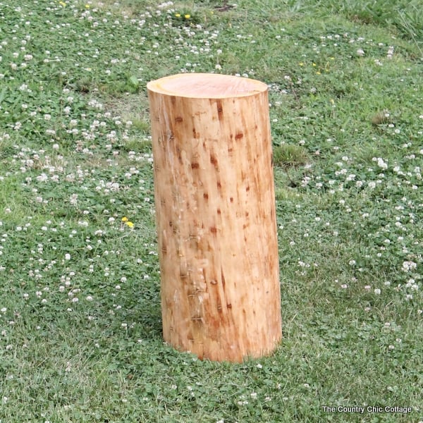 A large log sitting up vertically to make a DIY log table.