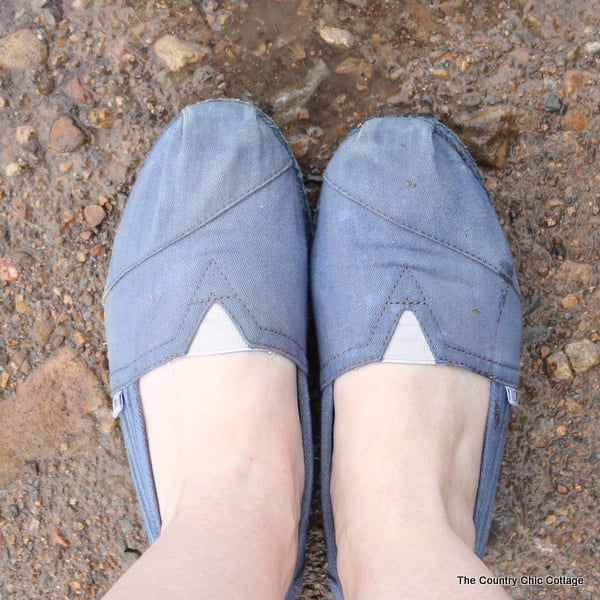 dyed Toms in use