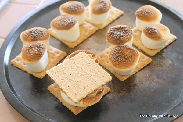 Peanut Butter Nutella Smores -- a fun campfire treat with a new twist!