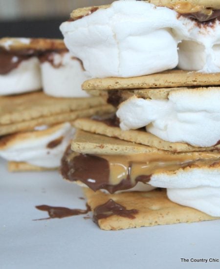 Peanut Butter Nutella Smores -- a fun campfire treat with a new twist!