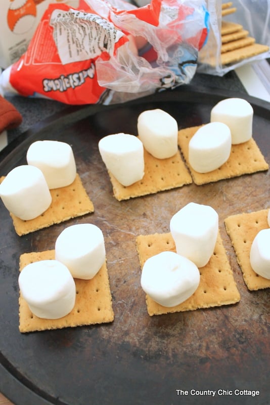 Peanut Butter Nutella Smores -- a fun campfire treat with a new twist!