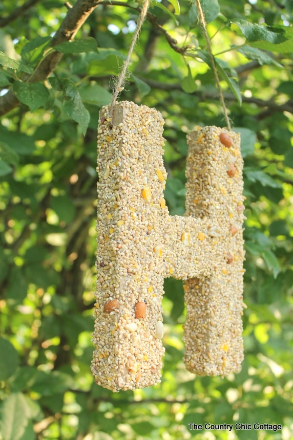 Bird Seed Monogram -- a fun craft project that the kids will love.  Make this bird feeder together then watch the birds!