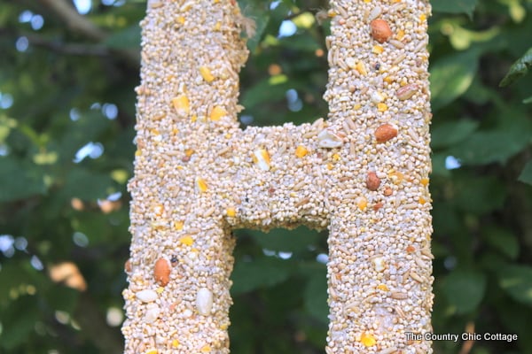 Bird Seed Monogram -- a fun craft project that the kids will love.  Make this bird feeder together then watch the birds!