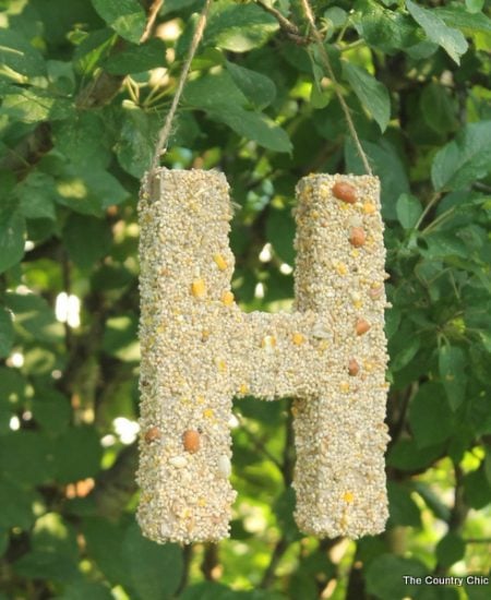 Bird Seed Monogram -- a fun craft project that the kids will love. Make this bird feeder together then watch the birds!