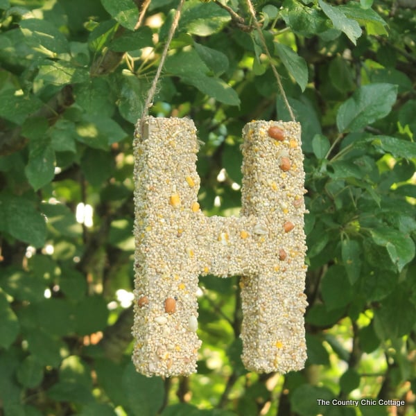 Bird Seed Monogram -- a fun craft project that the kids will love.  Make this bird feeder together then watch the birds!