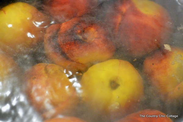 How to Can Sliced Peaches -- get the method with pictures at this link!