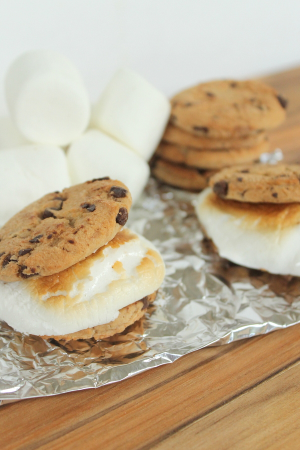 S'mores 5 Ways -- five fun ways to enjoy s'mores outdoors or even inside!  