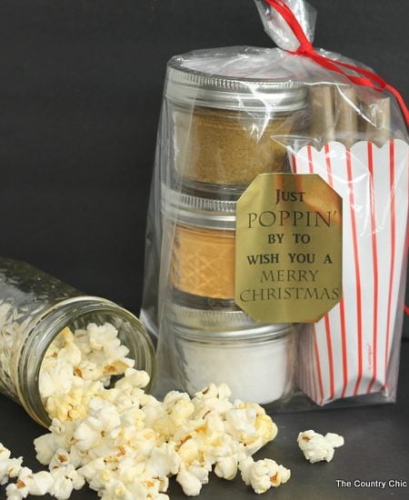 Gourmet Popcorn Gift -- add your seasoning mixes to mason jars for a great handmade gift in a jar!