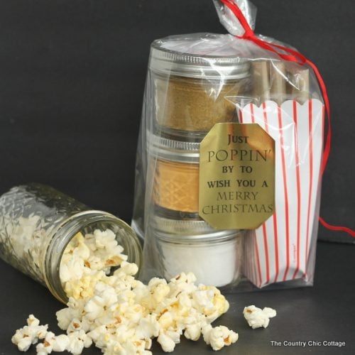 Gourmet Popcorn Gift -- add your seasoning mixes to mason jars for a great handmade gift in a jar!