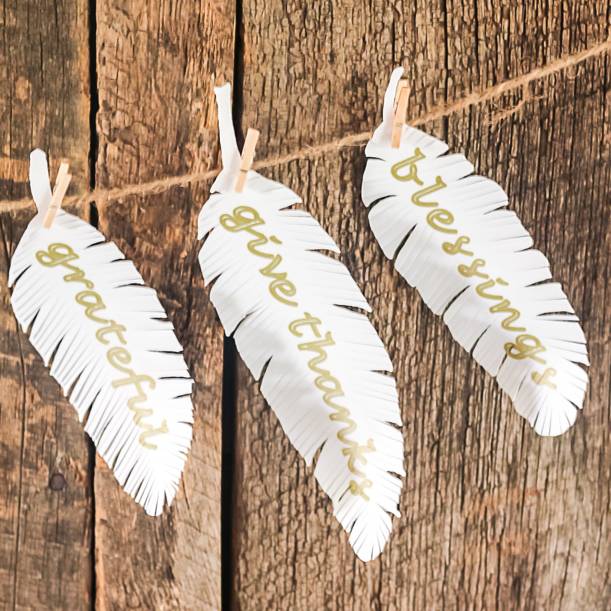 paper feathers cut on a cricut