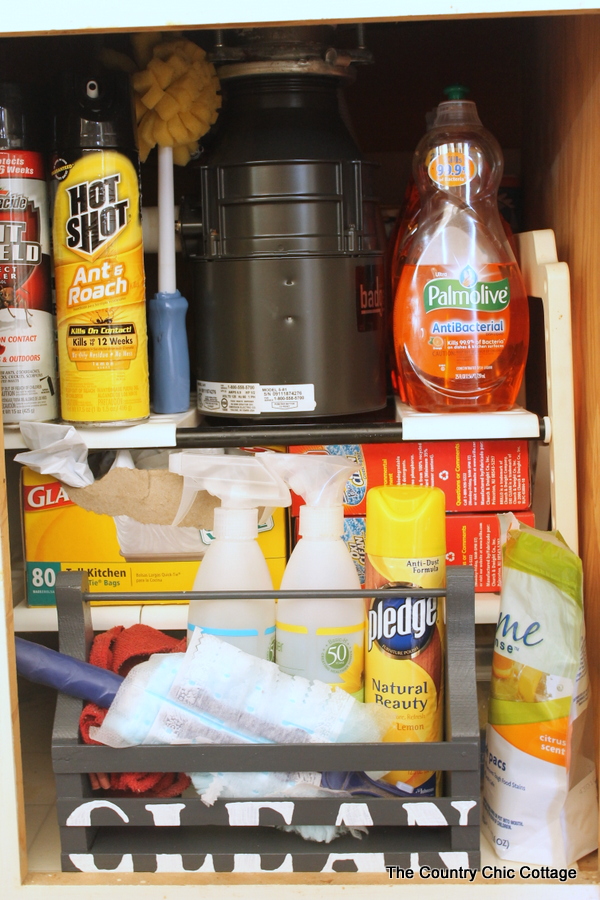 cleaning supplies under cabinet