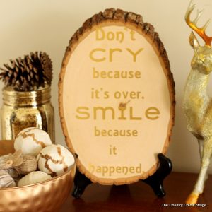 Make this wood slice quote art with a Dr. Seuss spin for your home. A quick 15 minute project that will look gorgeous in your home.