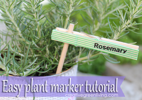 cl3 How to make plant markers from clothespins