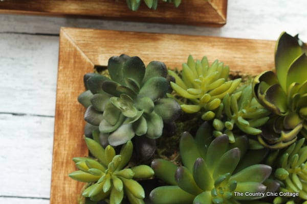 Everyone will fall in love with this faux succulent wall art. The best part is that anyone can make their own wall art in just a few minutes! A fun faux succulent wall hanging that you can make in 10 minutes or less! Get the full instructions with a video!