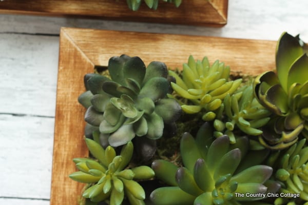 A fun faux succulent wall hanging that you can make in 10 minutes or less!  Get the full instructions with a video!