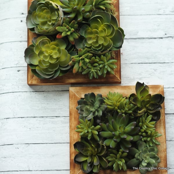 A fun faux succulent wall hanging that you can make in 10 minutes or less!  Get the full instructions with a video!