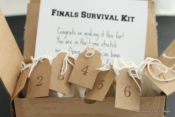 Send this finals survival kit care package to a college student! One little treat for every day of finals week.