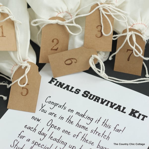 This college finals survival kit includes a sweet note for your hard-working college student.