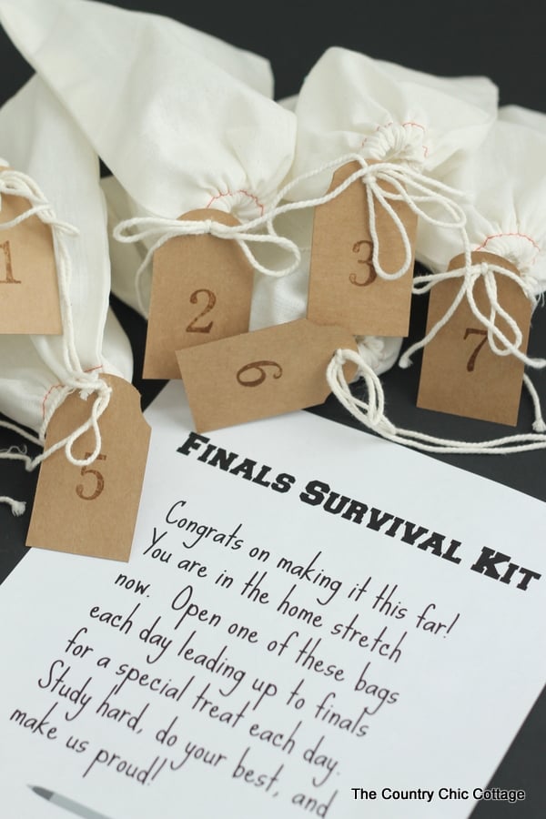 This finals survival kit is perfect for your college student cramming for their end of semester finals!