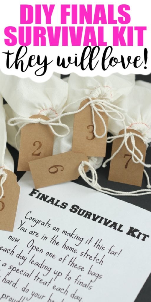 Make this DIY finals survival kit for your college student! Includes instructions, gift ideas, and a free printable note! #finals #collegestudent #giftidea