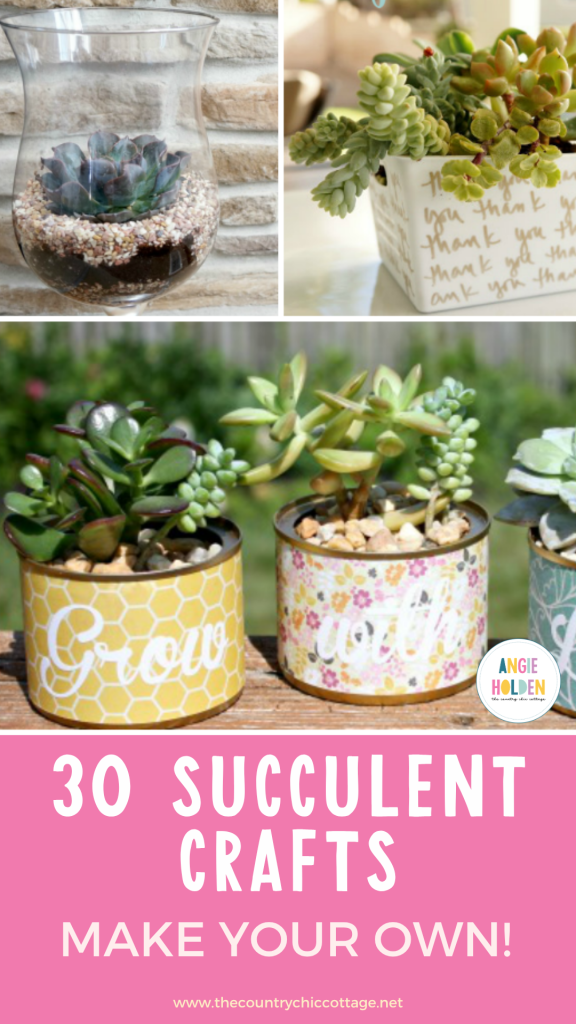 30 succulent crafts