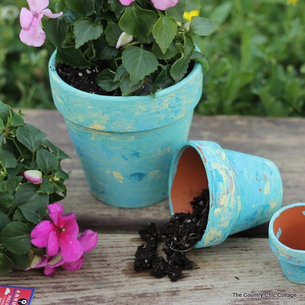 marbled terra cotta pots with flowers planted