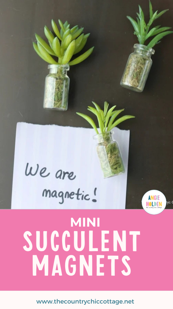 mini succulent magnets