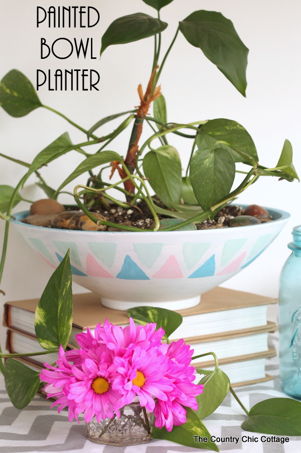 Painted planter bowl pin image