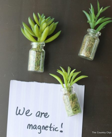 Succulent jar magnets -- make these in minutes and use on your fridge and more!