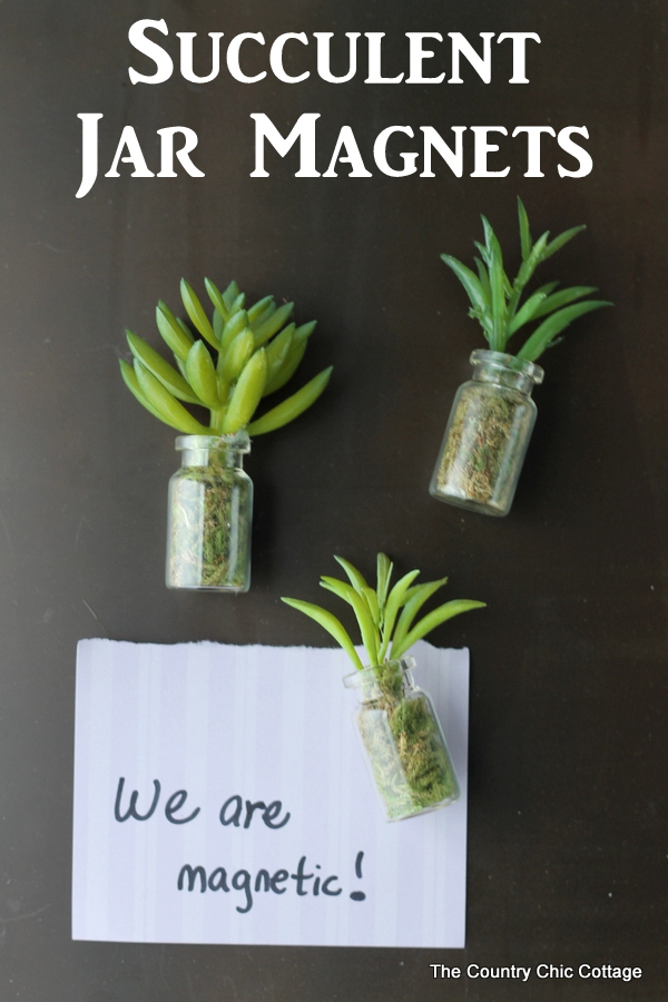 Succulent jar magnets -- make these in minutes and use on your fridge and more!