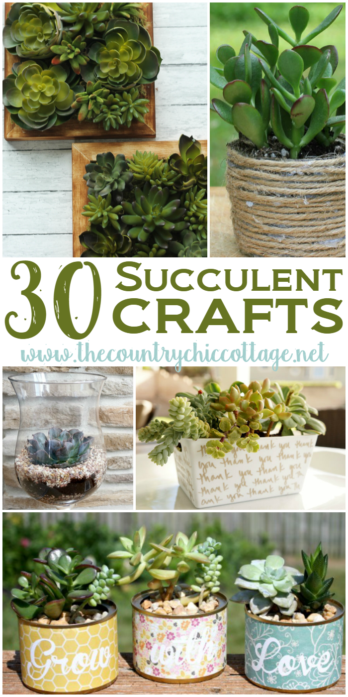 30 Amazing Succulent Crafts for your home!