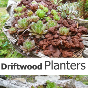 Driftwood Planters by Blue Fox Farm
