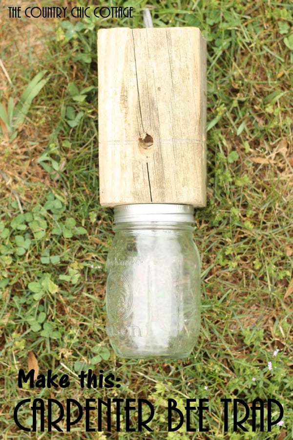 How to make your own carpenter bee trap from a scrap 4x4 and a mason jar!