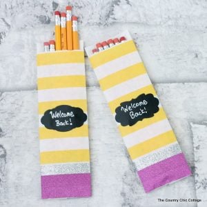 Pencil gift bag for back to school or any school function! So easy to make and so cute!