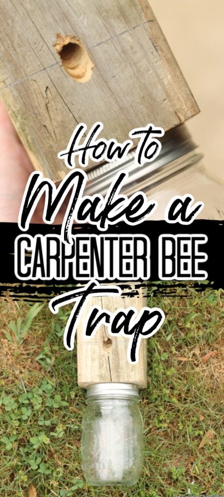 Learn how to make a carpenter bee trap to save the wood around your home! A bore bee trap may be just what you need to keep those pests away!