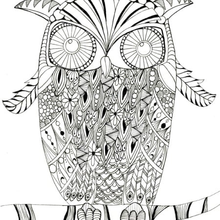 owl coloring sheet