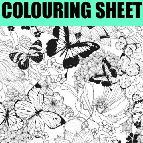 butterflies coloring page