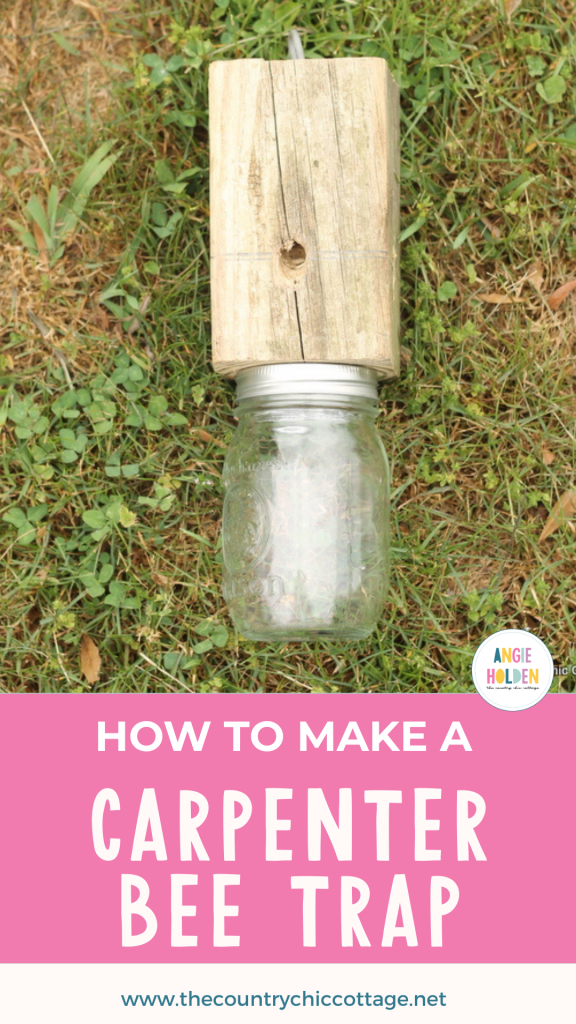 how to make a carpenter bee trap