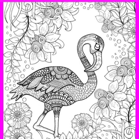 flamingo coloring page