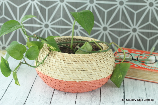 beige and coral basket holding a plant