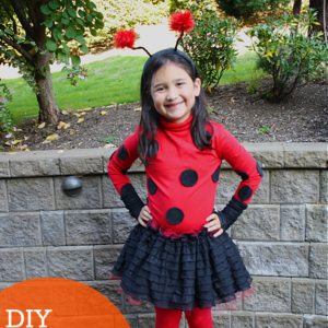 DIY Ladybug Costume by Yesterday on Tuesday