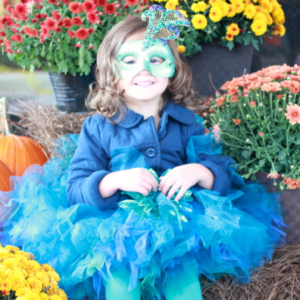 Peacock Mardi Gras Mask by 365 Days of Crafts