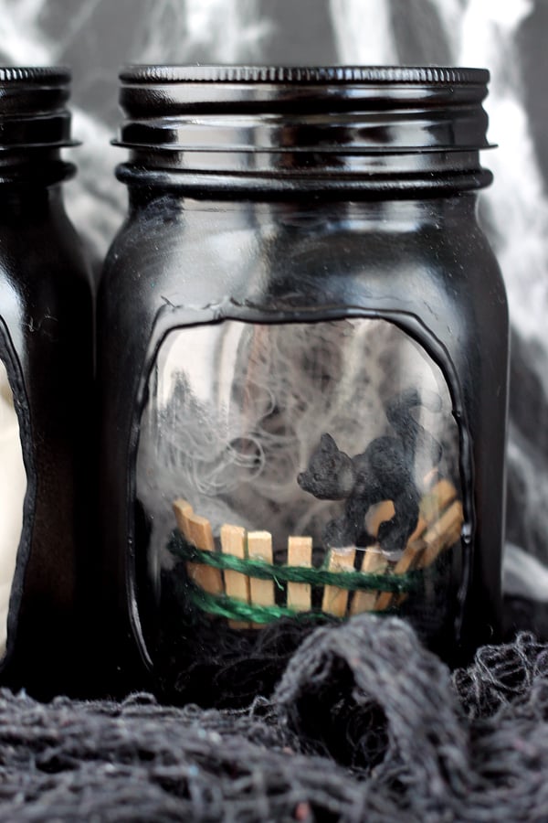 black cat inside of a mason jar