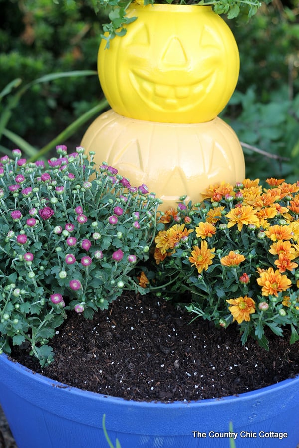 Make this pumpkin planter for your fall garden!  A quick and easy project that is perfect for fall!